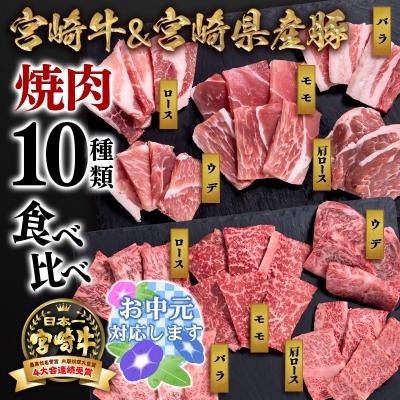 ふるさと納税 西都市 [お中元ギフト]宮崎牛&amp;宮崎県産豚肉 焼肉10種盛り 焼肉セット計600g[3003]