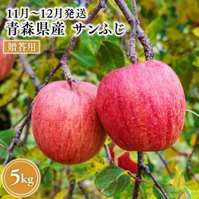 ふるさと納税 平川市 2026年11月〜12月発送 贈答用サンふじ 約5kg