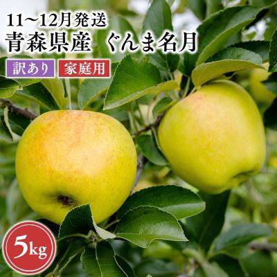 ふるさと納税 平川市 2026年11月〜12月発送 [訳あり]家庭用ぐんま名月 約5kg[原田農園]
