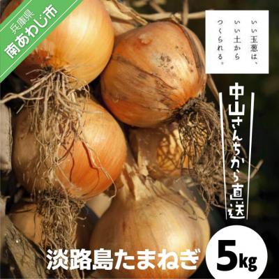 ふるさと納税 南あわじ市 [完熟玉ねぎ予約]中山さんちから直送 淡路島たまねぎ5kg ◆R8.6月下旬〜発送