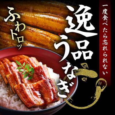 ふるさと納税 大洲市 国産うなぎ!家庭で本格料亭の味!うなぎ蒲焼き 6尾セット(2尾×3箱)[AGAH003]_1