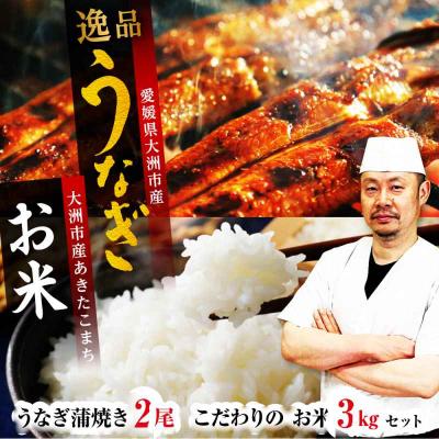 ふるさと納税 大洲市 秘伝のタレで焼き上げた「うなぎ蒲焼き2尾」と生産者こだわりの「お米3kg」セット[AGAH004]