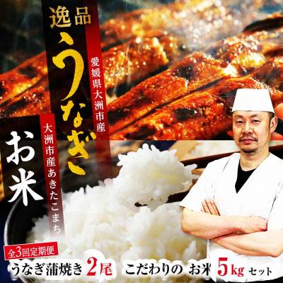 ふるさと納税 大洲市 [全3回定期便]秘伝のタレ!「うなぎ蒲焼2尾」とこだわりの「お米5kg」セット[AGAH008]