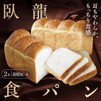 ふるさと納税 大洲市 [冷凍]臥龍食パン2本 [AGAY046]