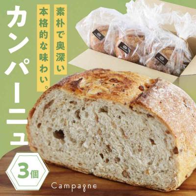 ふるさと納税 大洲市 [冷凍]カンパーニュ3種セット (プレーン・いちじく・五穀) [AGAY050]