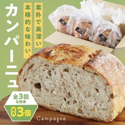 ふるさと納税 大洲市 [全3回定期便][冷凍] カンパーニュ3種セット (プレーン・いちじく・五穀) [AGAY051]
