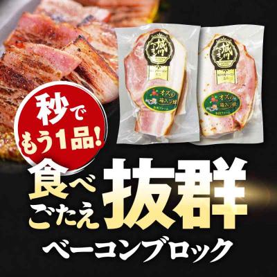 ふるさと納税 大洲市 大洲産ブランド名豚肉『オズの箱入り娘』当てはめる!ベイコン立ちはだかる仕かける 計6ケ [AGAZ017]