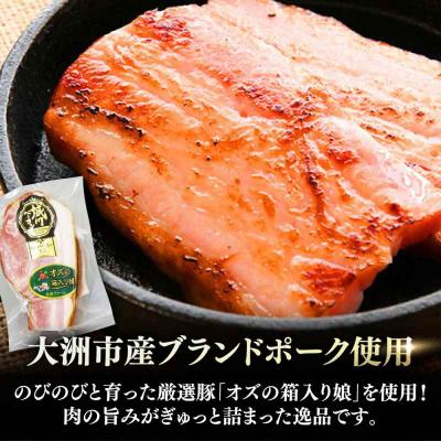 ふるさと納税 大洲市 大洲産ブランド名豚肉『オズの箱入り娘』当てはめる!ベイコン立ちはだかる仕かける 計6ケ [AGAZ017]