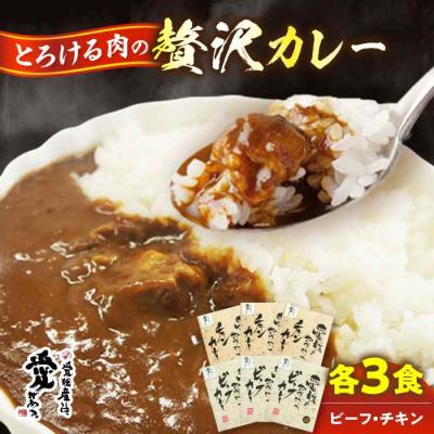 ふるさと納税 大洲市 愛媛県産のお肉を贅沢に使用!ご当地カレー!ビーフカレー&amp;チキンカレーセット [AGBM034]