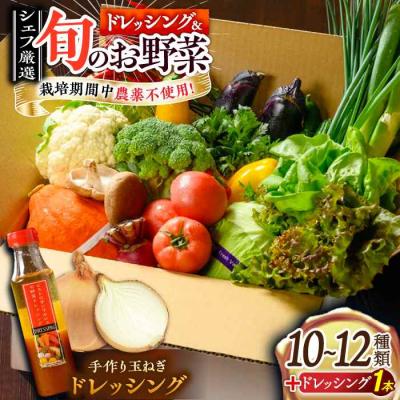 ふるさと納税 大洲市 栽培期間中農薬不使用!旬のお野菜セット×手作り玉ねぎドレッシング(1本) [AGBX001]