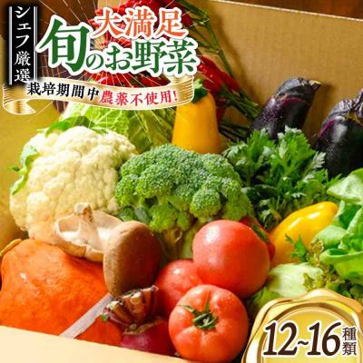 ふるさと納税 大洲市 栽培期間中農薬不使用!大満足 旬のお野菜セット [AGBX003]