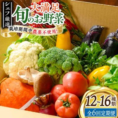 ふるさと納税 大洲市 [全6回定期便]栽培期間中農薬不使用!大満足 旬のお野菜セット [AGBX004]