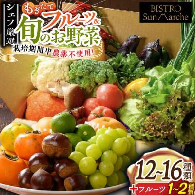 ふるさと納税 大洲市 栽培期間中農薬不使用! 旬のお野菜セット×もぎたてフルーツセット [AGBX006]