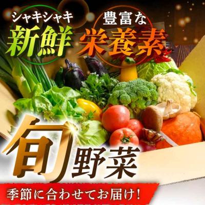 ふるさと納税 大洲市 【全6回定期便】栽培期間中農薬不使用!旬のお野菜セット×もぎたてフルーツセット [AGBX007]_3