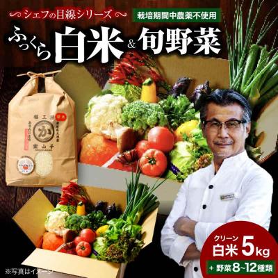 ふるさと納税 大洲市 栽培期間中農薬不使用!旬のお野菜セット+クリーン白米[ふるさと納税限定] [AGBX009]
