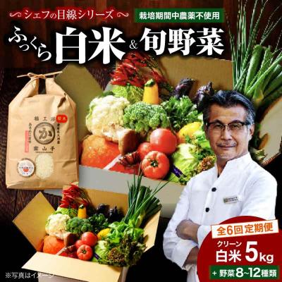 ふるさと納税 大洲市 [全6回定期便]旬のお野菜セット+クリーン白米[ふるさと納税限定] [AGBX010]