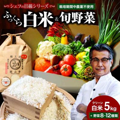 ふるさと納税 大洲市 『シェフの食卓』〜野菜・果物・お米・卵の詰め合わせ〜 [AGBX035]