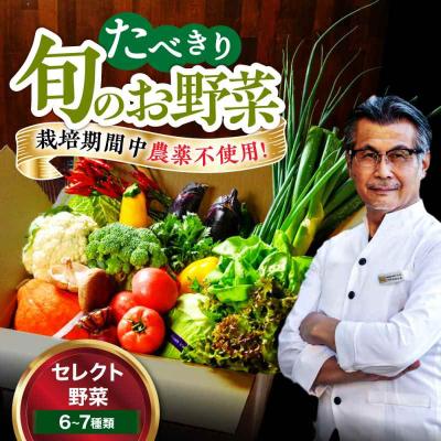 ふるさと納税 大洲市 [シェフの目線]野菜 6から7種 単身・二人暮らし用セット [AGBX043]