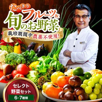 ふるさと納税 大洲市 [シェフの目線] 野菜×フルーツセット 6から7種 単身・二人暮らし用セット [AGBX047]