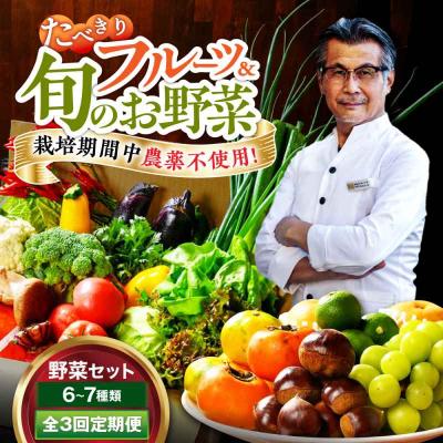 ふるさと納税 大洲市 [全3回定期便] 野菜×フルーツセット 6から7種 単身・二人暮らし用セット [AGBX048]