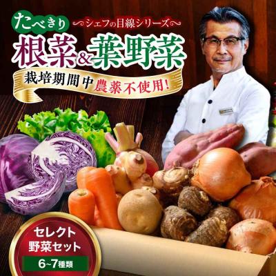 ふるさと納税 大洲市 根菜×葉野菜 6から7種 単身・二人暮らし用セット [AGBX051]