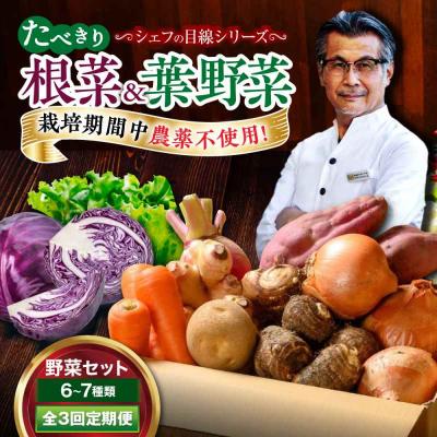 ふるさと納税 大洲市 [全3回定期便] 根菜×葉野菜 6から7種 単身・二人暮らし用セット [AGBX052]