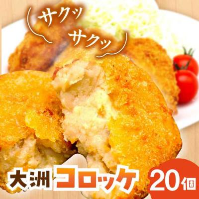 ふるさと納税 大洲市 [冷凍]使いたい分だけ使える!郷土料理が進化した「大洲コロッケ」(20個) [AGCP401]