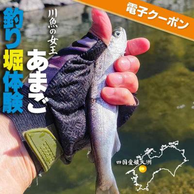 ふるさと納税 大洲市 [電子クーポン]あまご釣り堀体験 クーポン(お一人様分) [AGDO001]