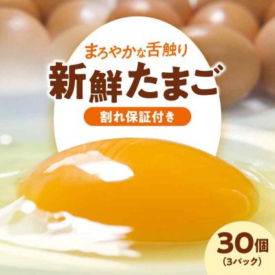 ふるさと納税 大洲市 平飼い 海草たまご 3パック(30個入り)割れ保証あり [AGDQ001]