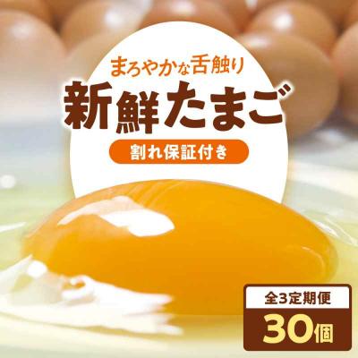 ふるさと納税 大洲市 [全3回定期便]平飼い 海草たまご 3パック(30個入り)割れ保証あり [AGDQ005]