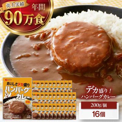 ふるさと納税 大洲市 ハンバーグカレーセット 16食入り [AGDT030]