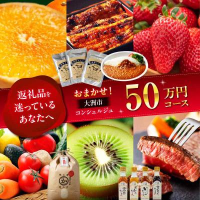 ふるさと納税 大洲市 [大洲市コンシェルジュ]返礼品おまかせ!寄付額50万円コース [AGXX027]