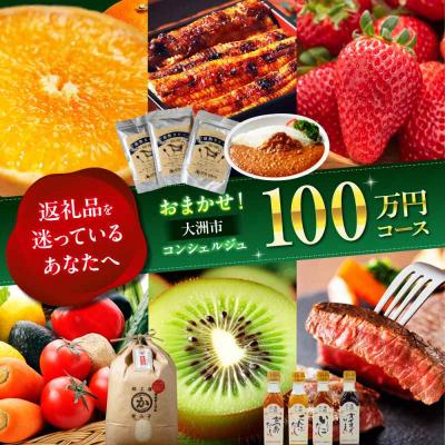 ふるさと納税 大洲市 [大洲市コンシェルジュ]返礼品おまかせ!寄付額100万円コース [AGXX028]