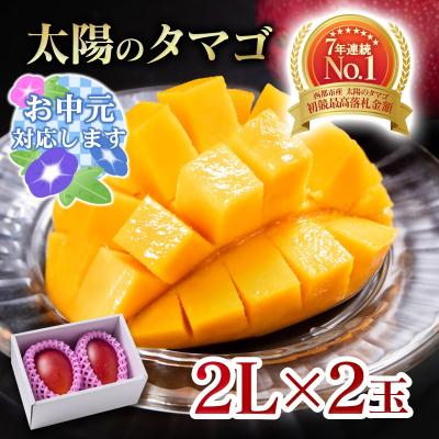 ふるさと納税 西都市 [お中元ギフト]西都市産完熟マンゴー 太陽のタマゴ2L×2玉[2908]