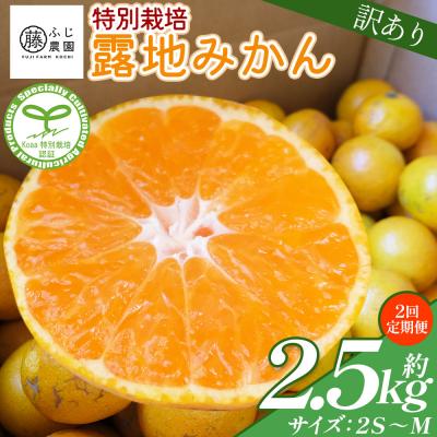 ふるさと納税 香南市 [2回定期便]ふじ農園の露地みかん 訳あり品 2.5kg(2S〜M) Wfn-0019