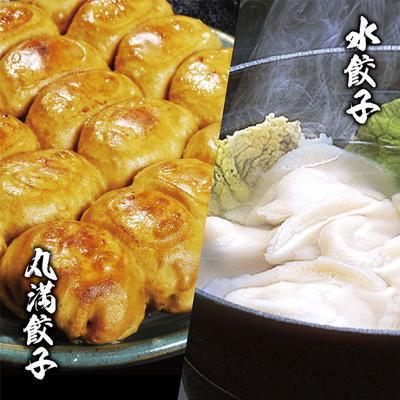ふるさと納税 古河市 餃子づくしセット(MS)焼餃子5包み(10人前)・水餃子5包み(10人前) | 餃子 _CO20