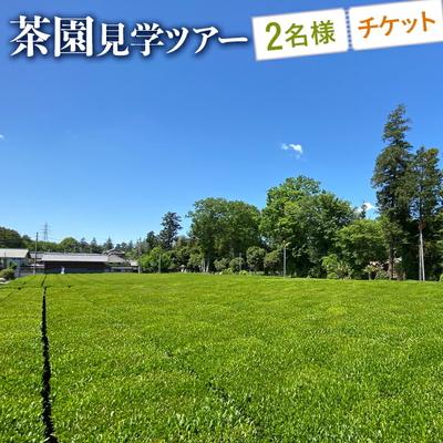 ふるさと納税 古河市 茶園見学ツアー2名様チケット | 体験 茶園 老舗 さしま茶 猿島茶 和紅茶 いずみ _BM06