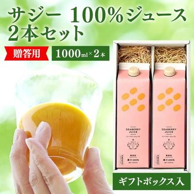 ふるさと納税 古河市 サジージュース 100% 1000ml×2本 [ギフト用] | サジー シーベリー _DX14