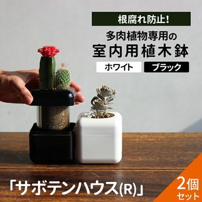 ふるさと納税 古河市 [2個セット ブラック・ホワイト]多肉植物専用の室内用植木鉢「サボテンハウス(R)」 _GD03