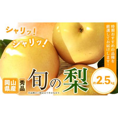 ふるさと納税 笠岡市 秀品 岡山県産 旬の 梨 約2.5kg 2~6玉前後[9月上旬-1月末頃に出荷予定]岡山県 笠岡市