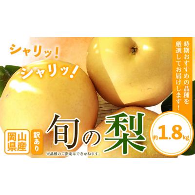 ふるさと納税 笠岡市 訳あり 旬の 梨 約1.8kg 2~6玉前後 岡山県産[9月上旬-1月末頃に出荷予定]岡山 笠岡市