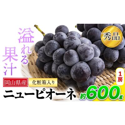ふるさと納税 笠岡市 岡山県産 秀品 ニューピオーネ 約600g 1房[8月下旬-10月中旬頃出荷]岡山県 笠岡市 果物