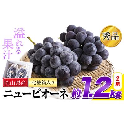 ふるさと納税 笠岡市 岡山県産 秀品 ニューピオーネ 約1.2kg 2房[8月下旬-10月中旬頃出荷]岡山県 笠岡市