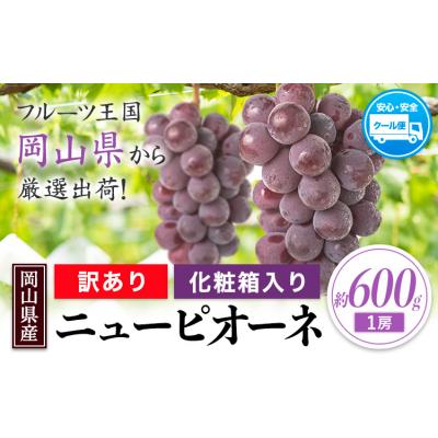 ふるさと納税 笠岡市 岡山県産 訳あり ニューピオーネ 約600g 1房[8月下旬-10月中旬頃出荷]岡山県 笠岡市 果物