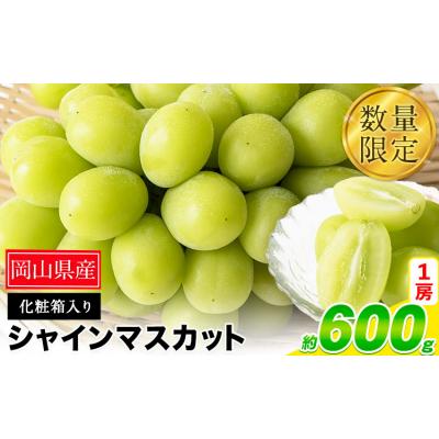 ふるさと納税 笠岡市 秀品 シャインマスカット 約600g 1房[9月上旬-11月上旬頃出荷]岡山県 笠岡市 果物