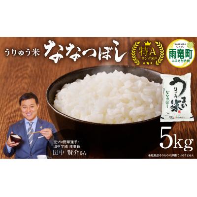 ふるさと納税 雨竜町 [6月発送] うりゅう米 ななつぼし 5kg (5kg×1袋)令和7年産