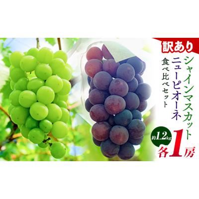 ふるさと納税 笠岡市 訳あり ニューピオーネ シャインマスカット 約1.2kg 2房[9月上旬-10月下旬頃に出荷予定]