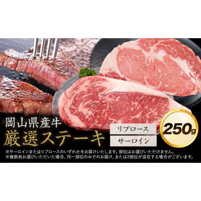 ふるさと納税 笠岡市 岡山県産牛 ステーキ サーロイン or リブ 交雑牛 250g[60日以内に出荷予定(土日祝除く)]
