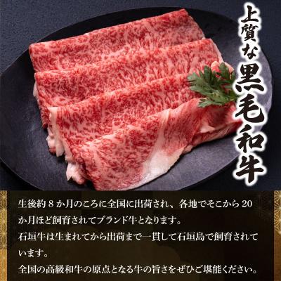 ふるさと納税 石垣市 石垣牛×アグー豚(南ぬ豚)石垣島満喫ハンバーグセット(各6個 計12個)_1