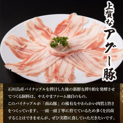 ふるさと納税 石垣市 石垣牛×アグー豚(南ぬ豚)石垣島満喫ハンバーグセット(各6個 計12個)_2